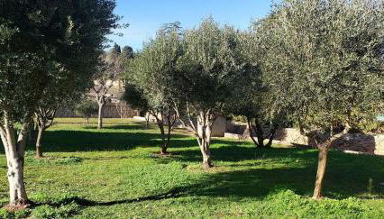 Villa Sainte Roseline -AC, Provençal Garden and BBQ - Foto 5