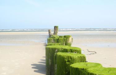 Seeluft 17 - Foto 12