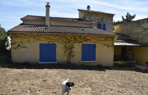 La Figalie - Foto 47