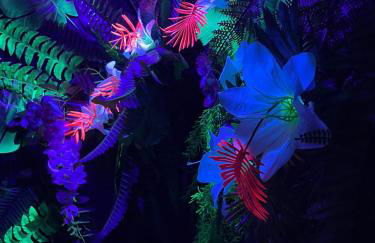 Serengeti Safari Room - Foto 53