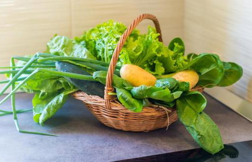 Apartment & Rooms Maždin - Foto 35