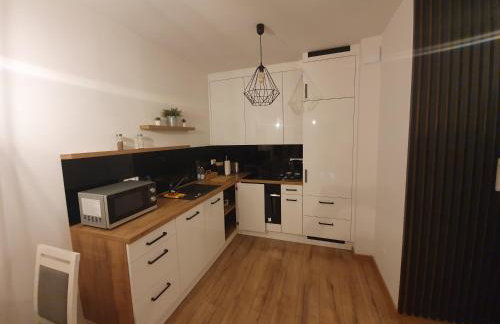 Apartament Number One NOVA WOZOWNIA - Foto 14