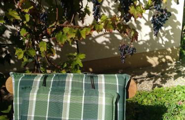 Kakteengarten - Foto 7