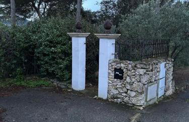 T2 avec Terrasse à Ventabren proche Aix - Foto 2