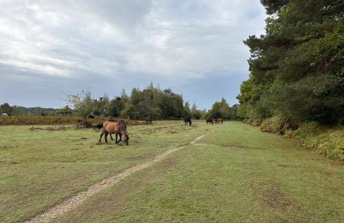 Swallows Retreat - Foto 21