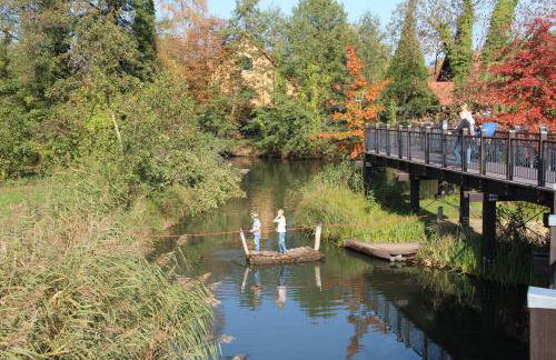 Ferienwohnung Spreewaeldchen - Foto 45