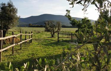 Podere Montecorno - Foto 29