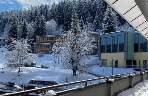 Maison Eglantine - Foto 54