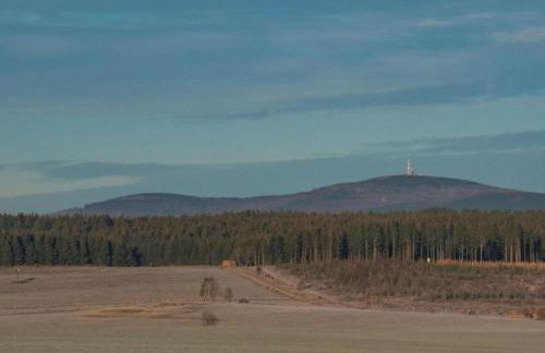 Apartment in Falkenstein With Wood-burning Stove - Foto 46