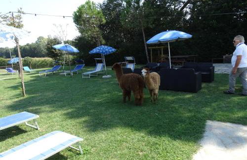 Country House Podere Lacaioli - Foto 53