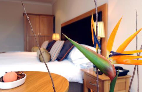 Wolfscastle Country Hotel - Foto 48