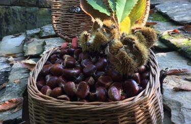 Appartamento Turistico Dal Morino - Foto 11