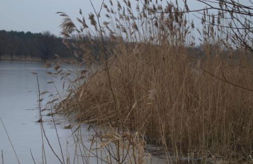 Ferienhäuser Pannier I und oder II - Foto 33
