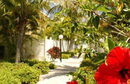 Beach Condo - Photo 54