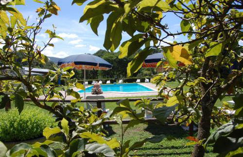 Fattoria Antognoni - Foto 47