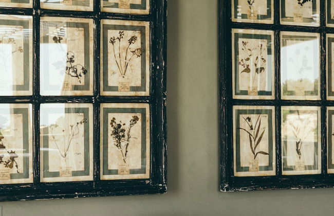 Country House Villadorata - Photo 44