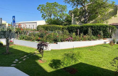 Apartments M&M TERZIC - Foto 3