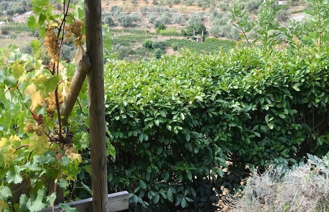 Agriturismo Uliveto Saglietto - Photo 46