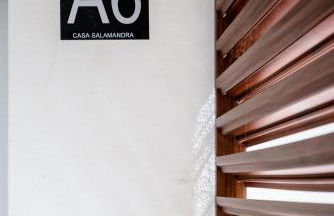 Salamandra - Photo 13