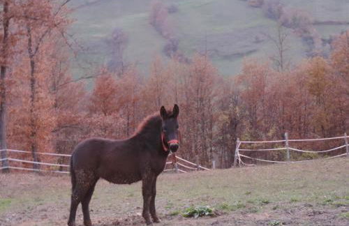 Società Agricola Cacigolara - Photo 129