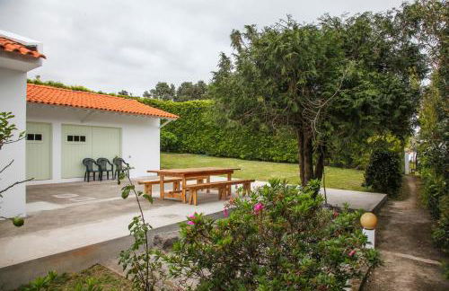 Adega do Mota - Photo 50