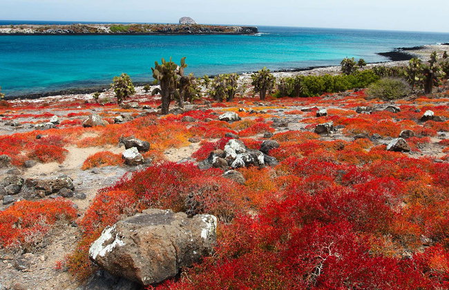 South Plaza Island Day Trip - Photo 1