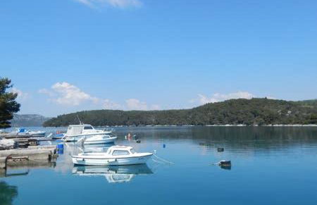 Apartment Quiet Getaway - Photo 5