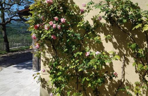 Agriturismo Fattoio alle Ripe - Photo 63