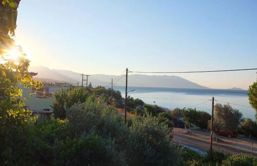 Tiki Rooms - Foto 45