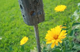 Landhaus Binder - Foto 2