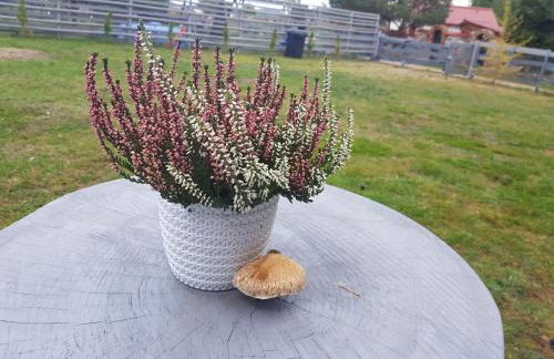 Domek Adam - Jacuzzi dodatkowo płatne - Foto 54