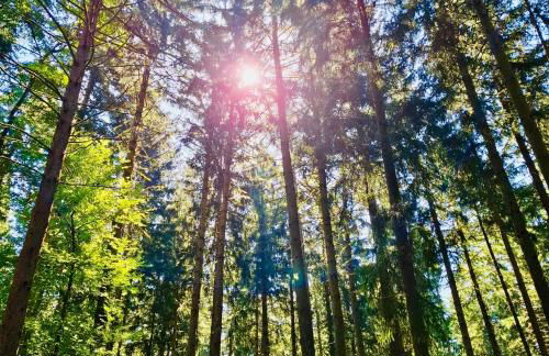 Erlebnisbad Badkap in 5 Minuten! - Foto 38