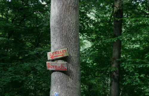 Ferienwohnung Bähr - Photo 15