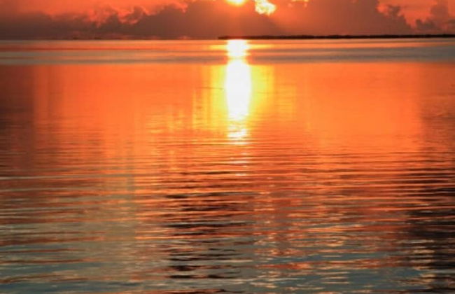 Sip And Sea - Foto 24