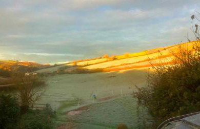 The Nest - Thatched seaside country cottage for two - Foto 26