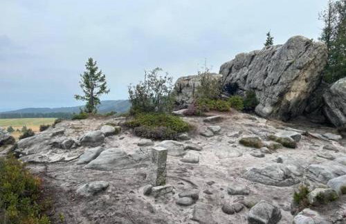 SUDECKA K0RONA domki całoroczne - Foto 26