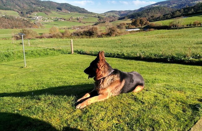 Apartamentos Rurales La Torre - Foto 40