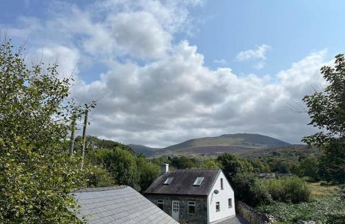 Bryn Rhedyn cottage - Foto 2