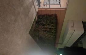 Appartement de Charme au Bord du Lac - Foto 6