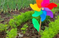 Żurawisko - Domki wśród natury - Foto 78