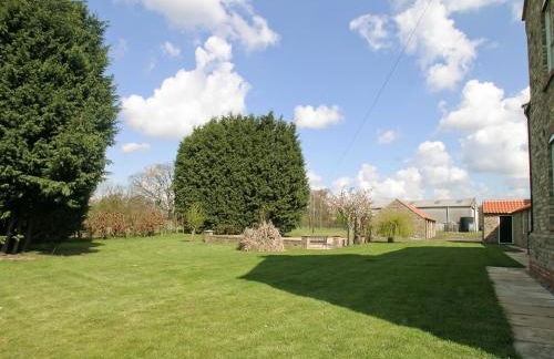 Rascal Wood - Foto 2