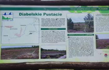 PRZYTULNE MIESZKANIE - Foto 8