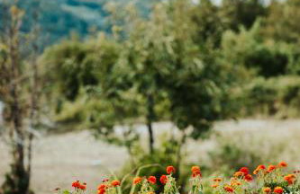 Little Villa - Foto 73