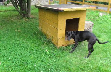 Alte Schule Altefeld - Foto 18