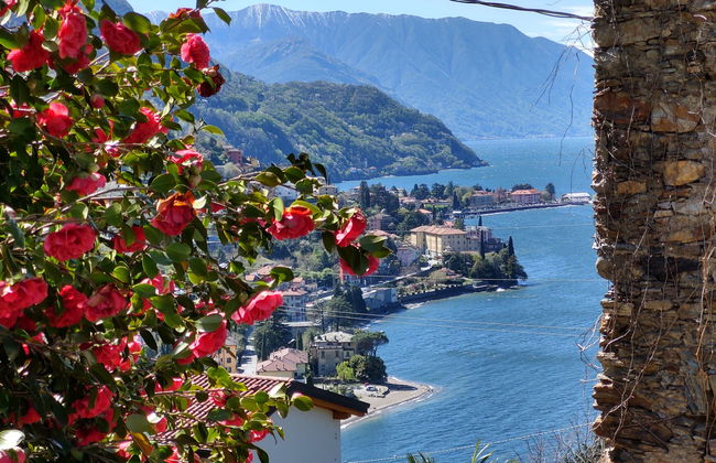 Apartment in Bellano with garden and terrace - Photo 22