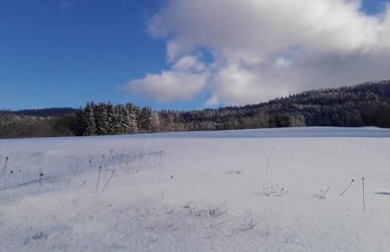 Le Studio du Brochy - Foto 35