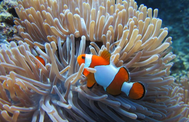 Villa Pelangi Bali - Foto 21