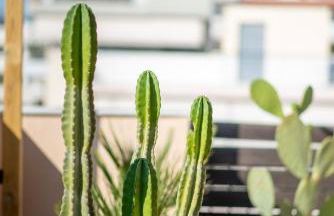 fragoseco loft! Elegance & Luxury - Foto 25