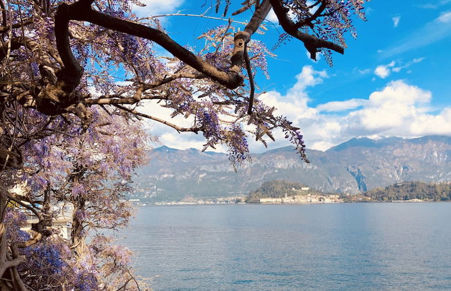 Appartamento Vista Lago Red & Grey - Foto 29