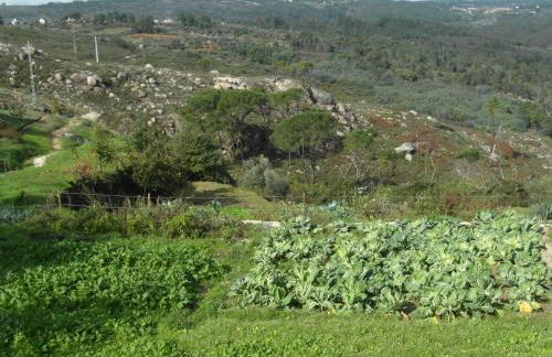 Casa da Bôcha - Foto 25